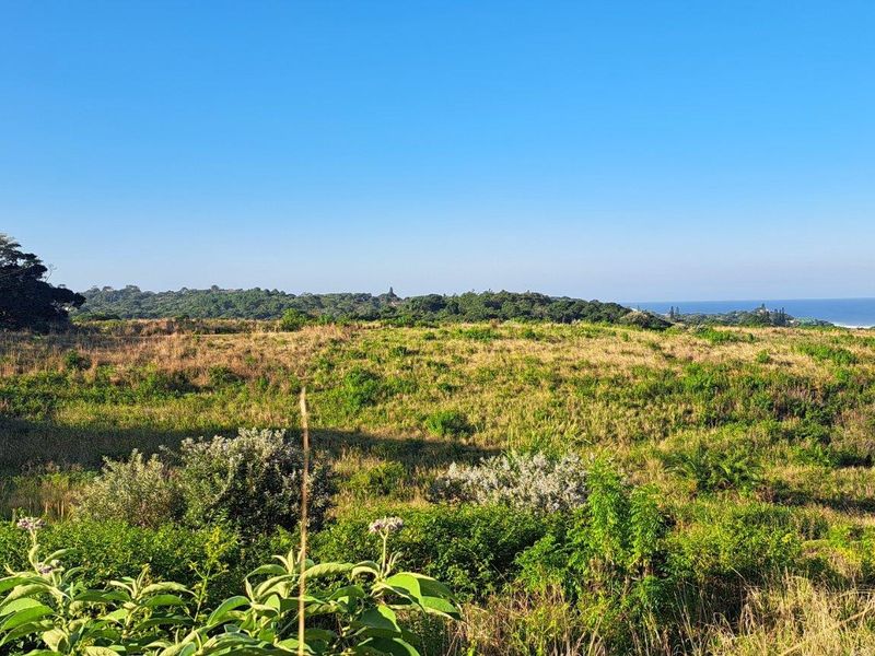 0 Bed Vacant Land in Port Edward for Sale - Photo 7
