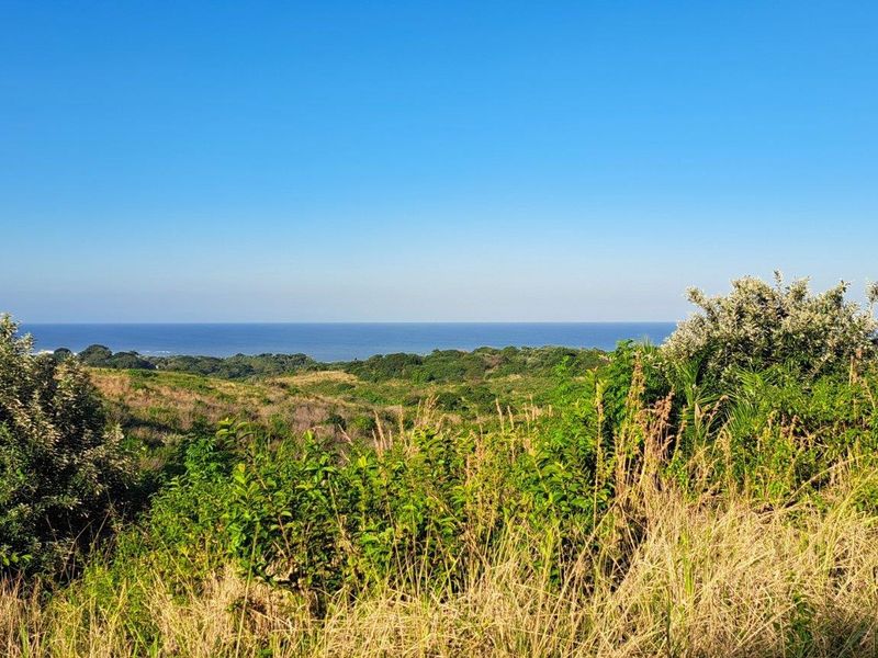 0 Bed Vacant Land in Port Edward for Sale - Photo 6