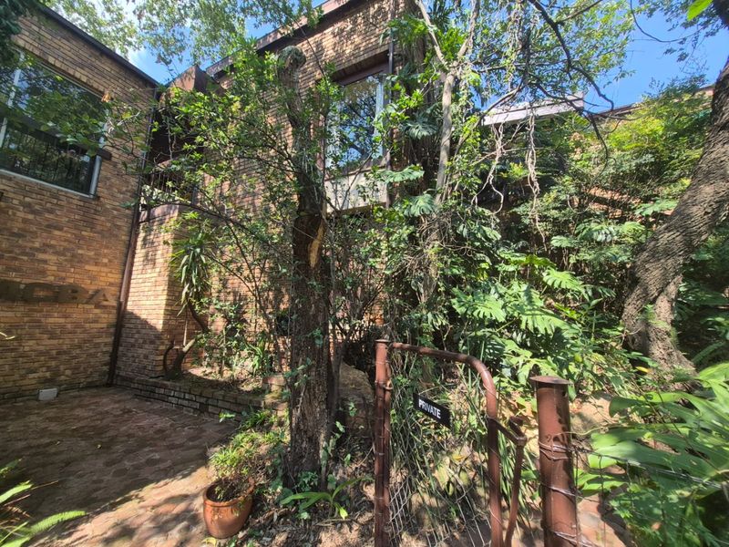 VERSATILE DESIGNER HOME WITH SANDTON SKYLINE VIEWS - Photo 5