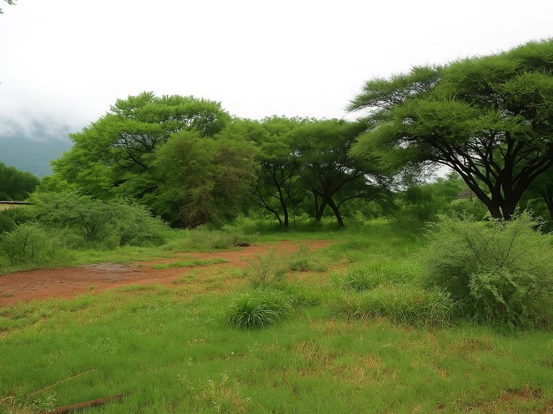 Prime Industrial Land – Thabazimbi - Photo 4
