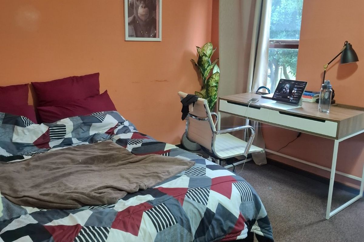A bedroom featuring carpeted flooring, a window with curtain rod, and orange painted walls.