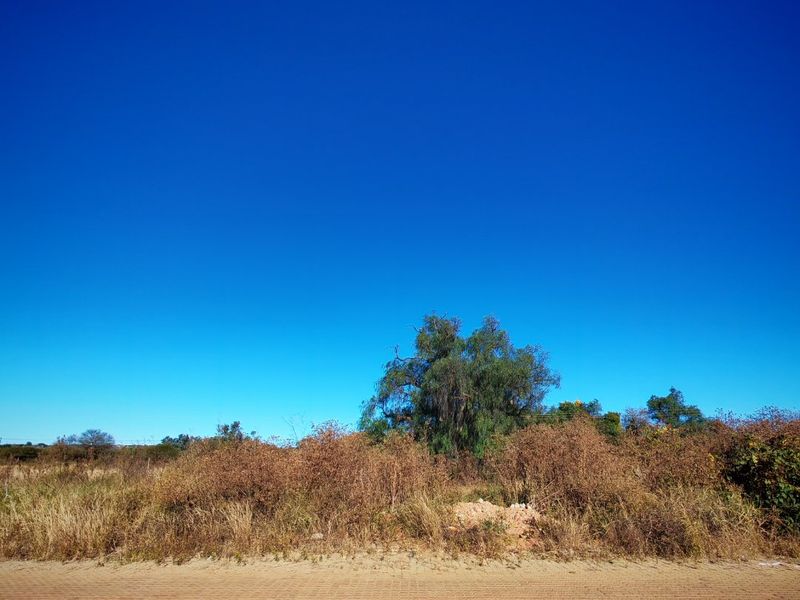 A view of a vacant residential plot featuring natural vegetation and a paved road frontage.