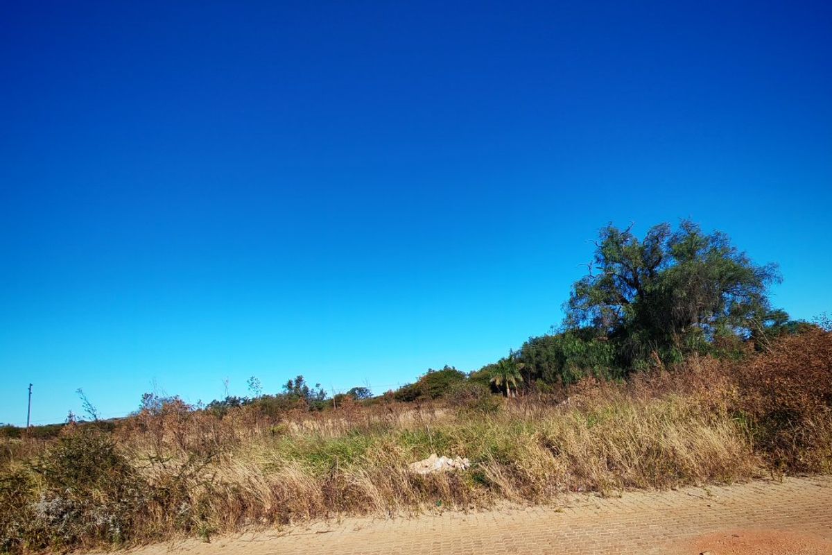 A view of an undeveloped residential plot of land adjacent to a paved road.