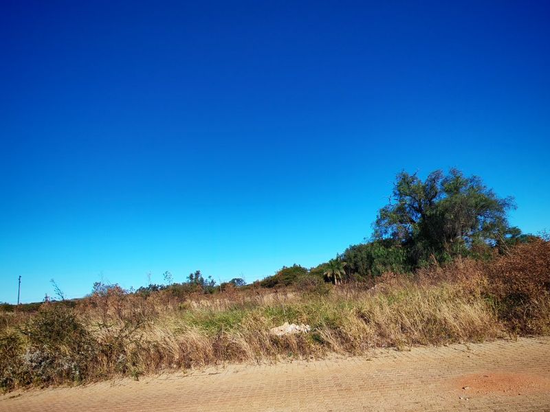 A view of an undeveloped residential plot of land adjacent to a paved road.