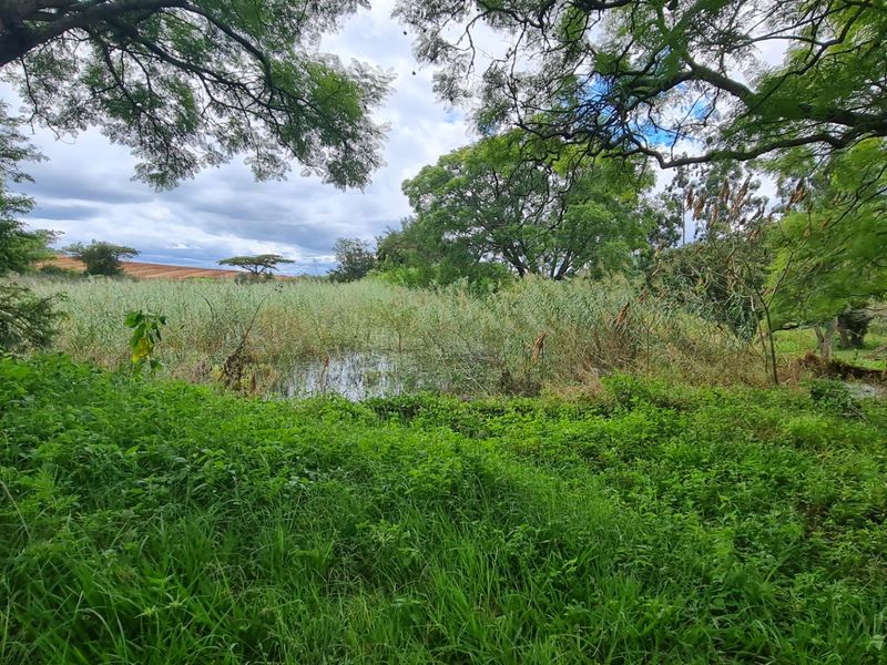 Farm With A View, Exciting Place - Photo 10