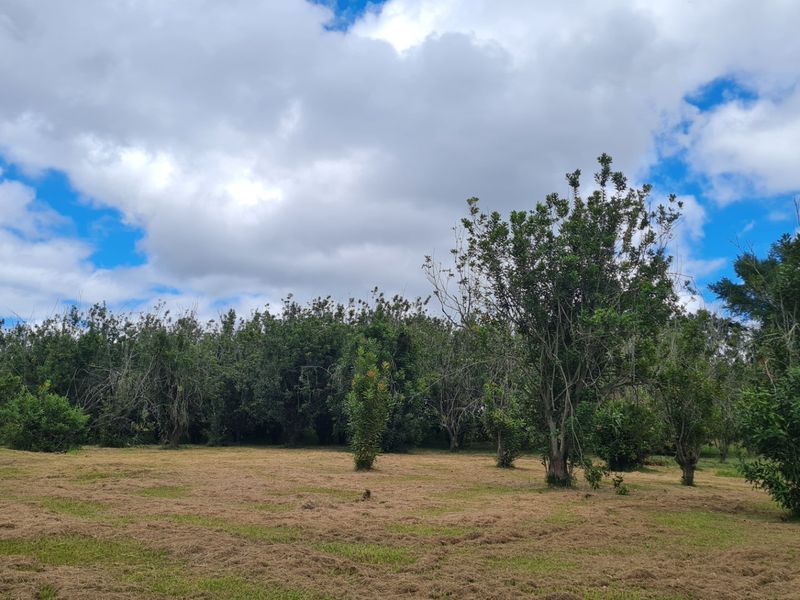 Farm With A View, Exciting Place - Photo 7