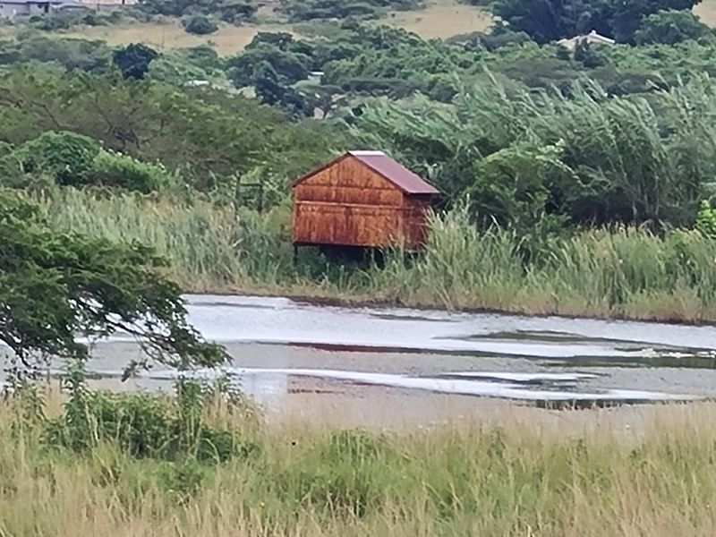 Farm With A View, Exciting Place - Photo 8