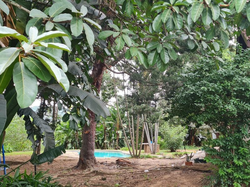 Farm With A View, Exciting Place - Photo 3