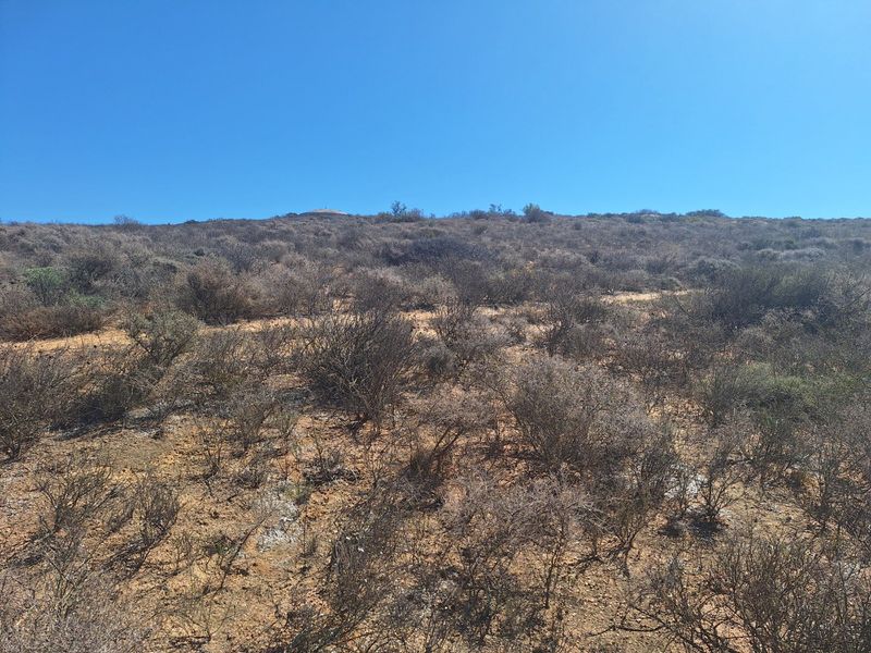 Vacant land Sandy Point Heights  1098sqm - St Helena Bay Spectacular views!!! - Photo 10
