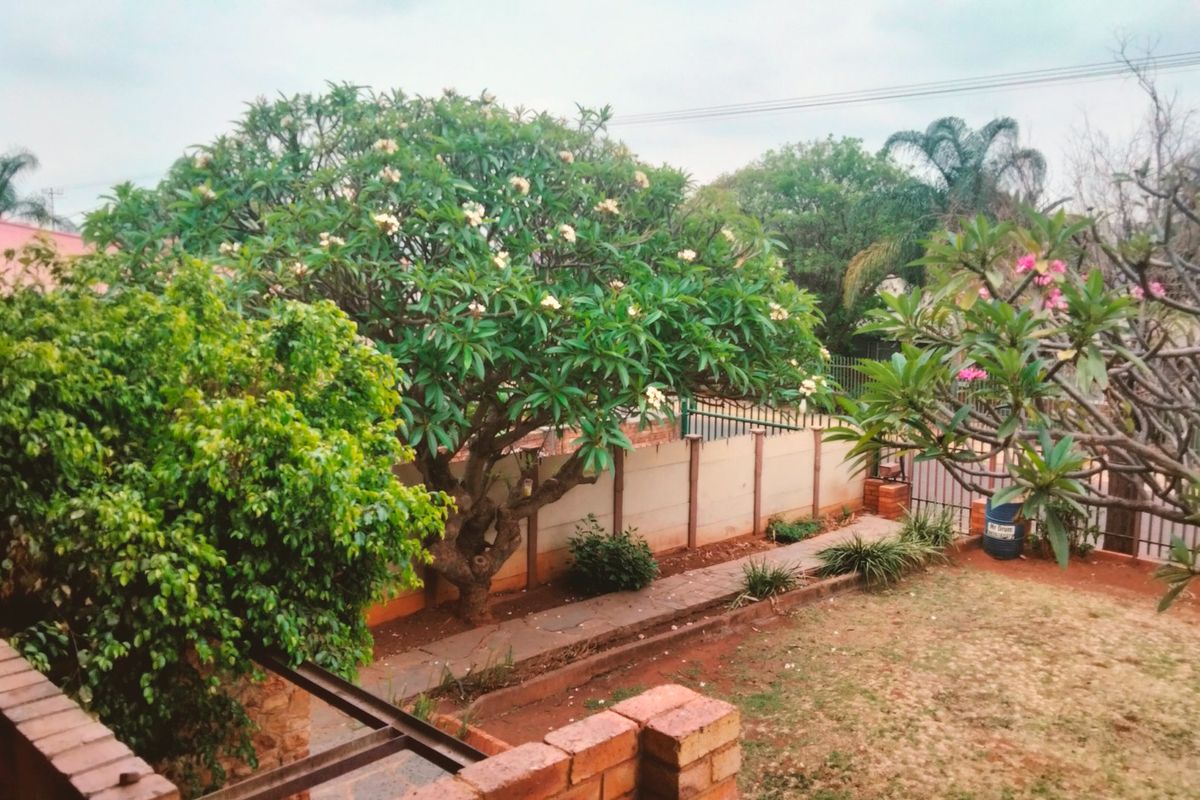 *** Reduced***   Beautifull 3 Bedroom Family Home with separate Study/office space for sale in Proclamation Hill Reduced - Photo 2