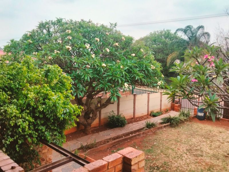 *** Reduced***   Beautifull 3 Bedroom Family Home with separate Study/office space for sale in Proclamation Hill Reduced - Photo 2