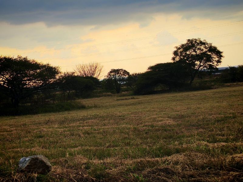 Affordable 227sqm Vacant Stand in New Development – Bendor Ext 126 - Photo 4