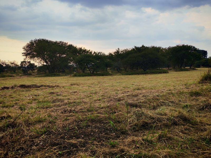 Affordable 220sqm Vacant Stand in Bendor Ext 126 Development - Photo 3
