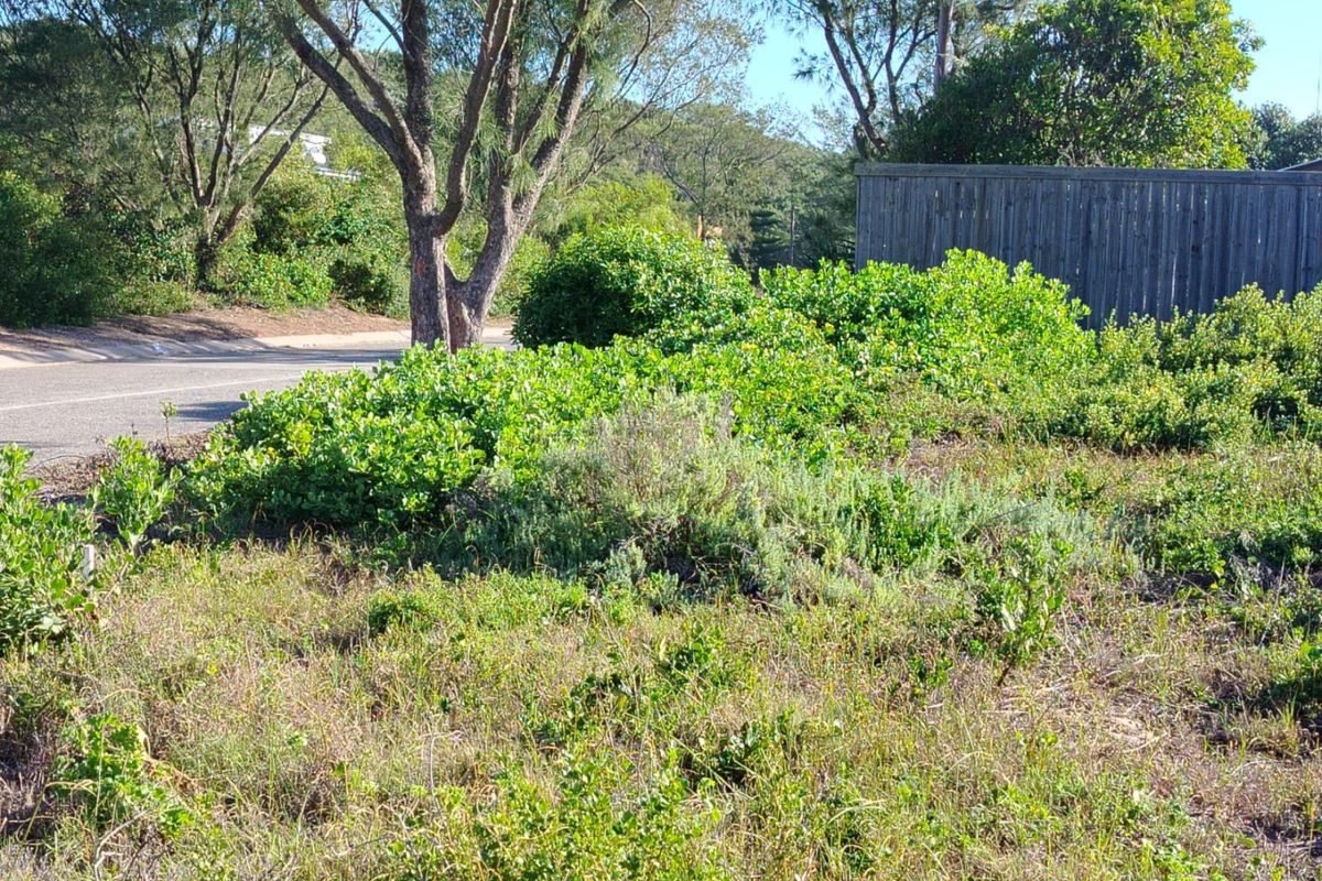 Coastal Opportunity in the Heart of Kleinkrantz - Photo 5