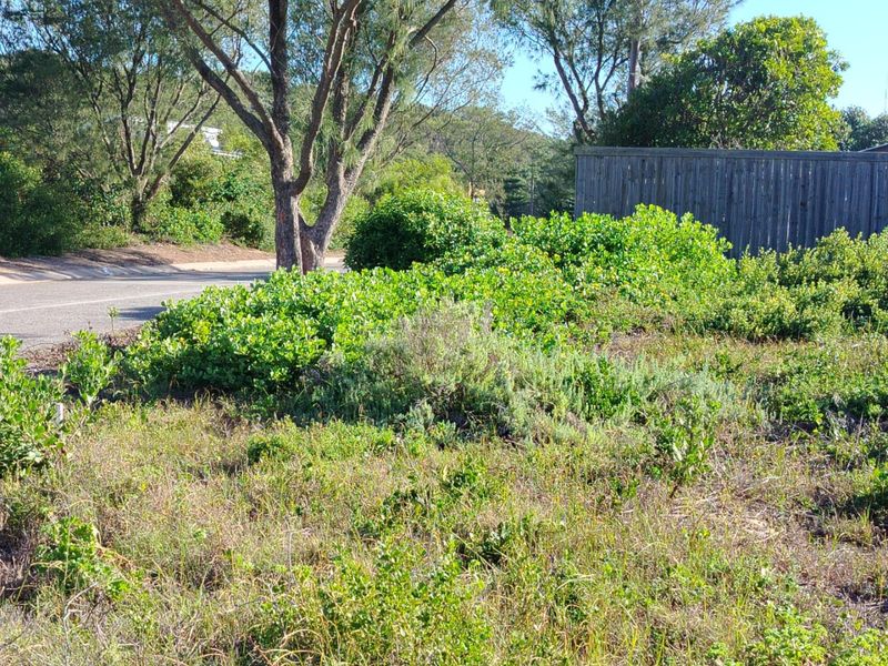 Coastal Opportunity in the Heart of Kleinkrantz - Photo 5