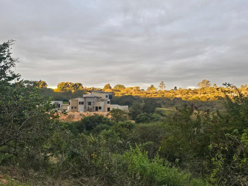 Large Family Home In the Heart of The Wild Fig Country Estate  - Photo 8