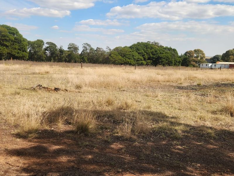 Stamp Your Dream Home Here in Bapsfontein - Photo 1
