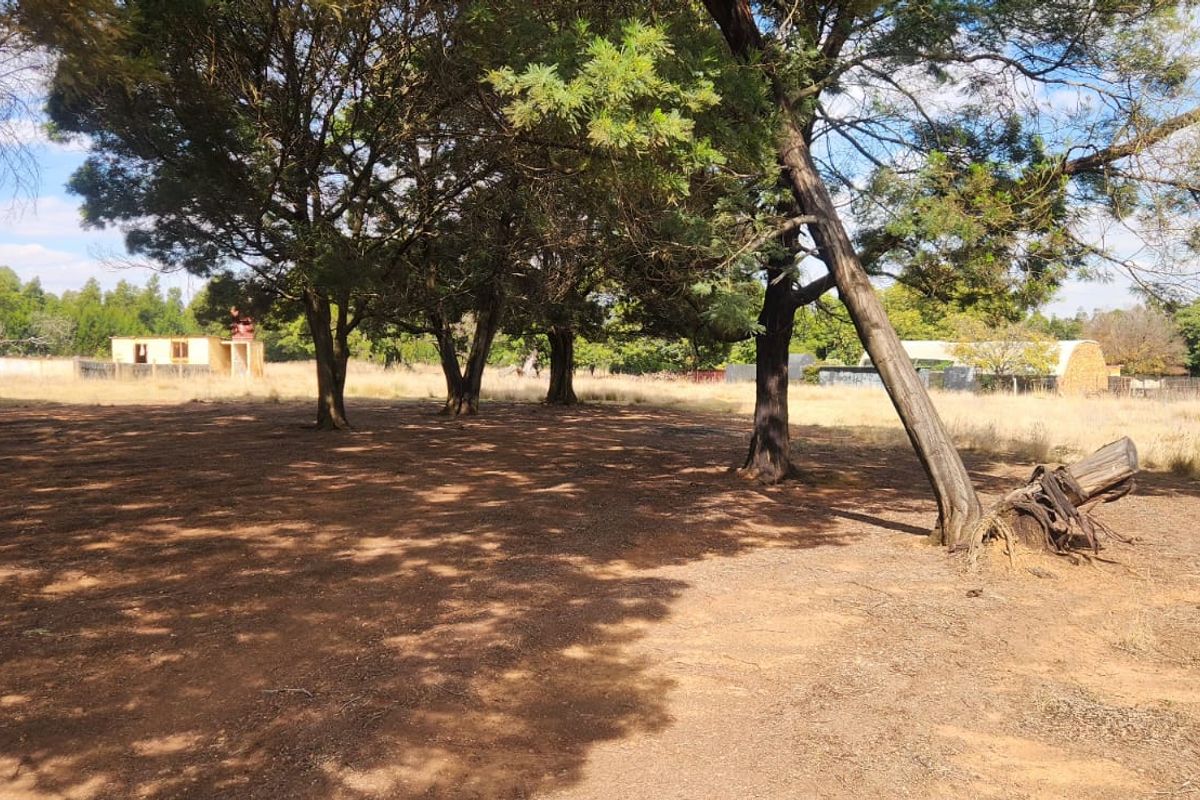 Stamp Your Dream Home Here in Bapsfontein - Photo 3