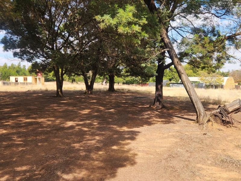 Stamp Your Dream Home Here in Bapsfontein - Photo 3