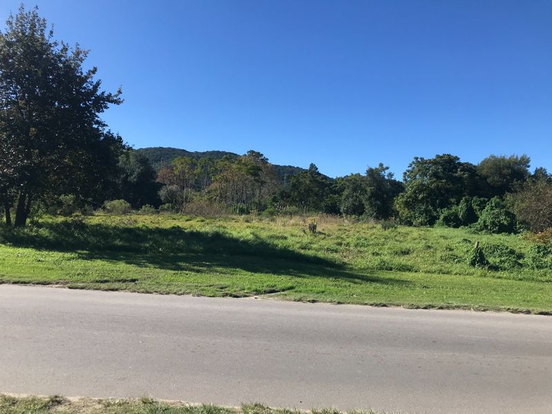Well Situated Level Erven for Development on the Outskirts of Old Place Knysna - Photo 3