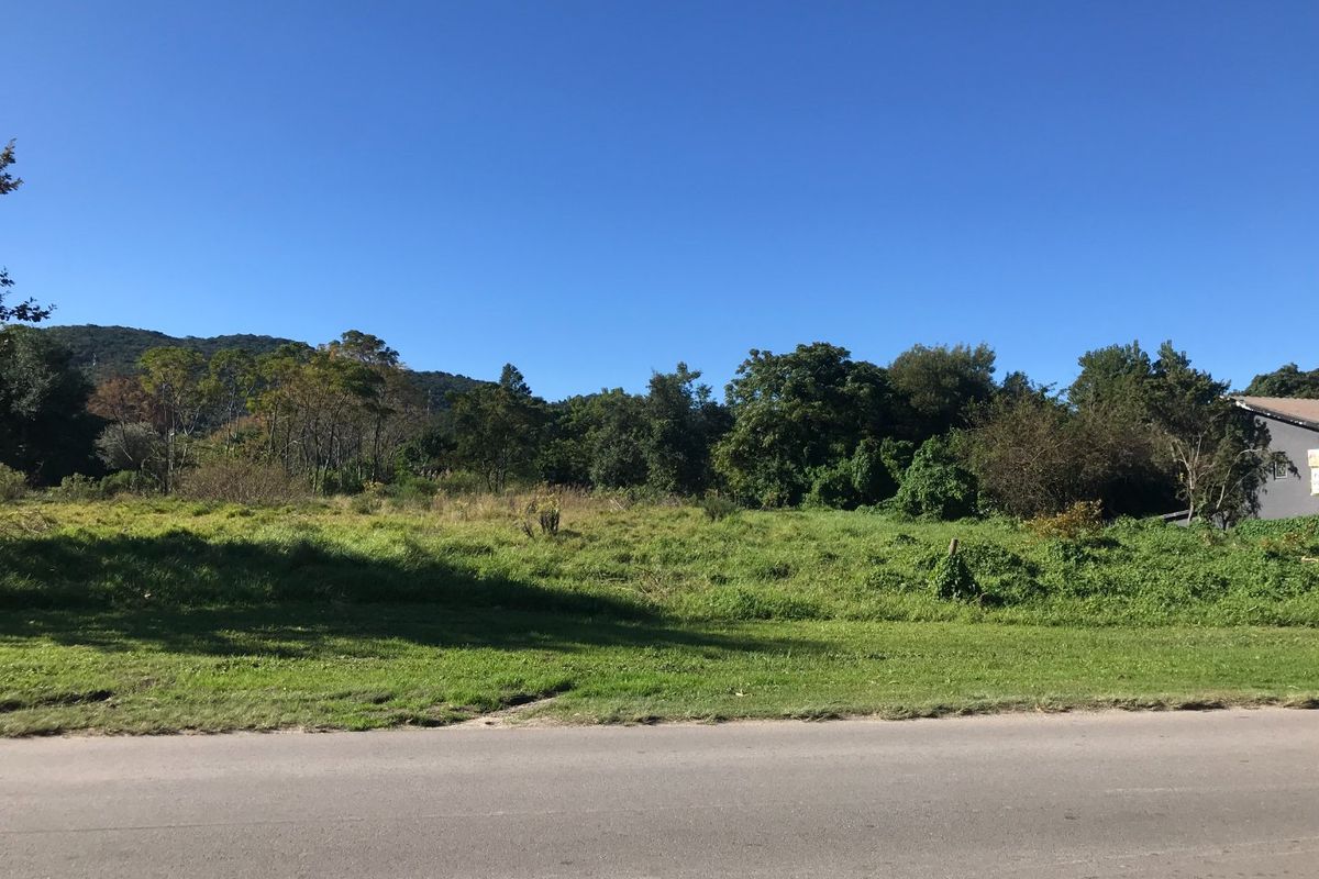 Well Situated Level Erven for Development on the Outskirts of Old Place Knysna - Photo 4