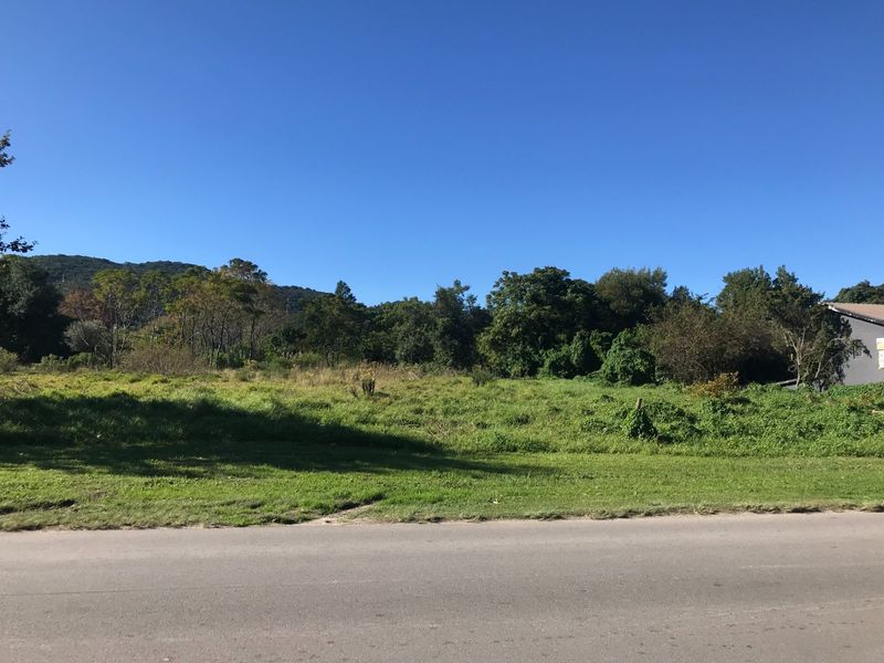 Well Situated Level Erven for Development on the Outskirts of Old Place Knysna - Photo 4