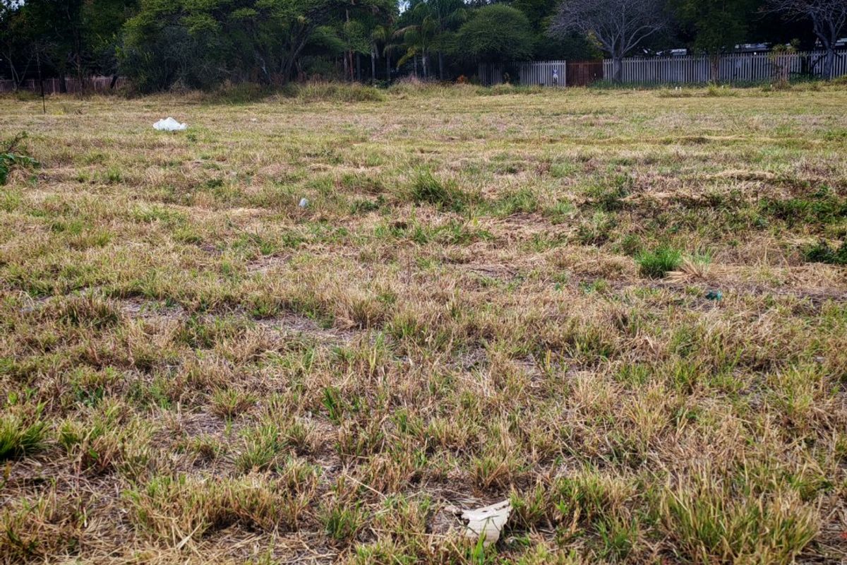 Investor & Developer Opportunity – 11 768 sqm Development Land in Bendor Ext 126 - Photo 4