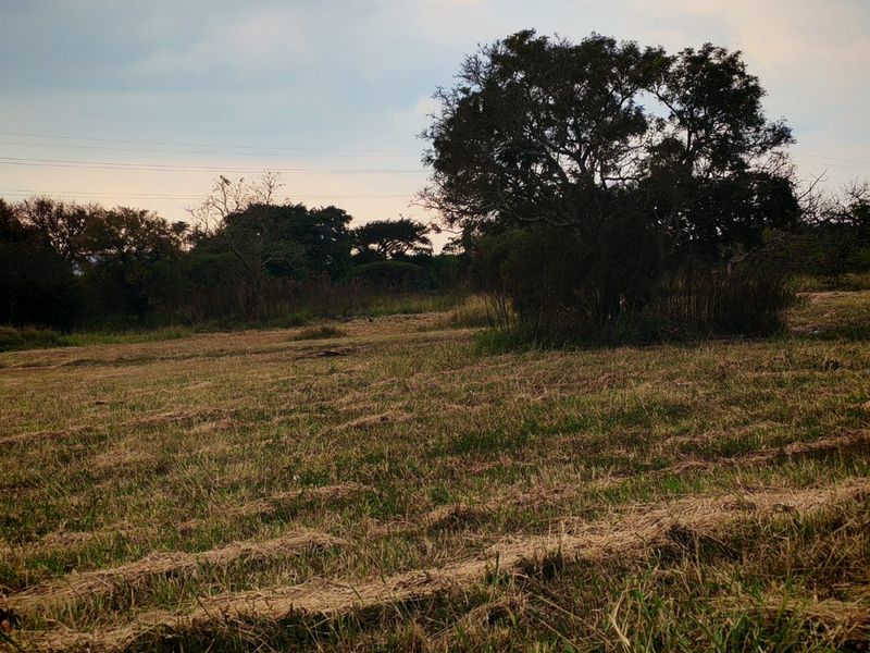 Investor & Developer Opportunity – 12 724 sqm Development Land in Bendor Ext 126 - Photo 4