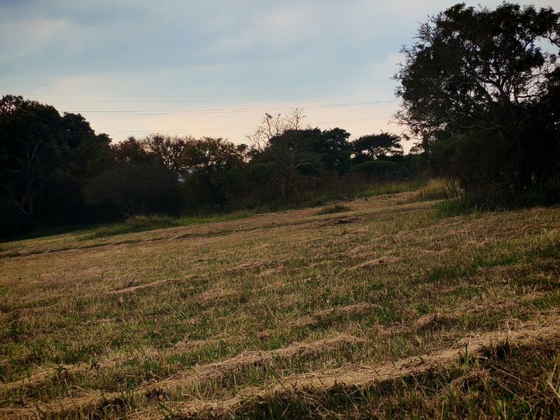 Investor & Developer Opportunity – 12 724 sqm Development Land in Bendor Ext 126 - Photo 3