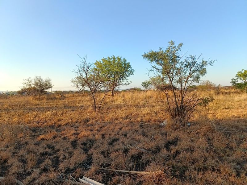 Investor & Developer Opportunity – 14 158 sqm Development Land in Bendor Ext 126 - Photo 2