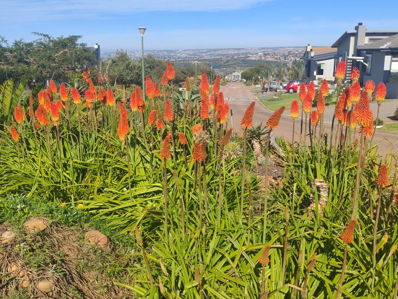 Vacant land as excellent investment opportunity on offer. - Photo 8