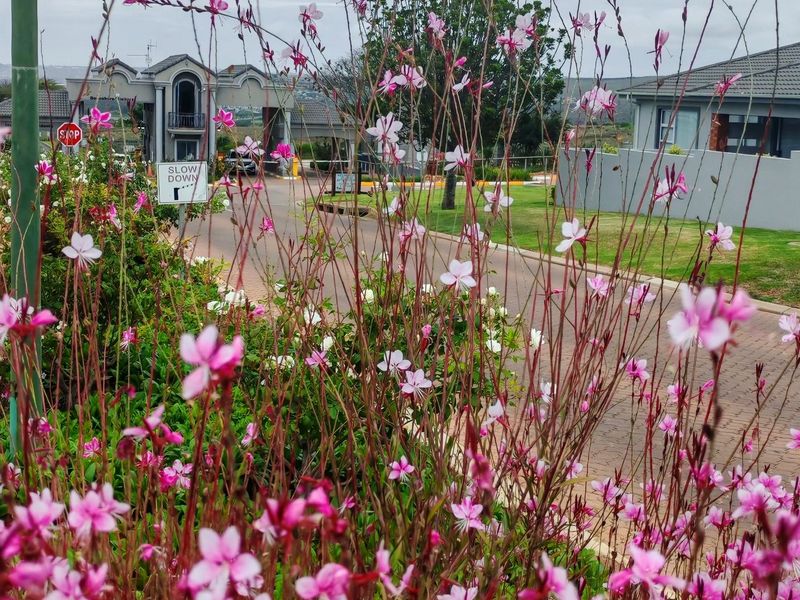 Stunning pet friendly vacant land in security estate. - Photo 7