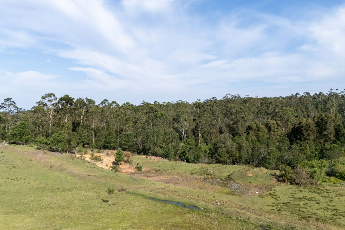 High Density Residential Development Opportunity Plettenberg Bay - Photo 3