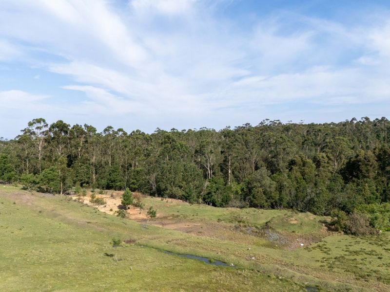 High Density Residential Development Opportunity Plettenberg Bay - Photo 3