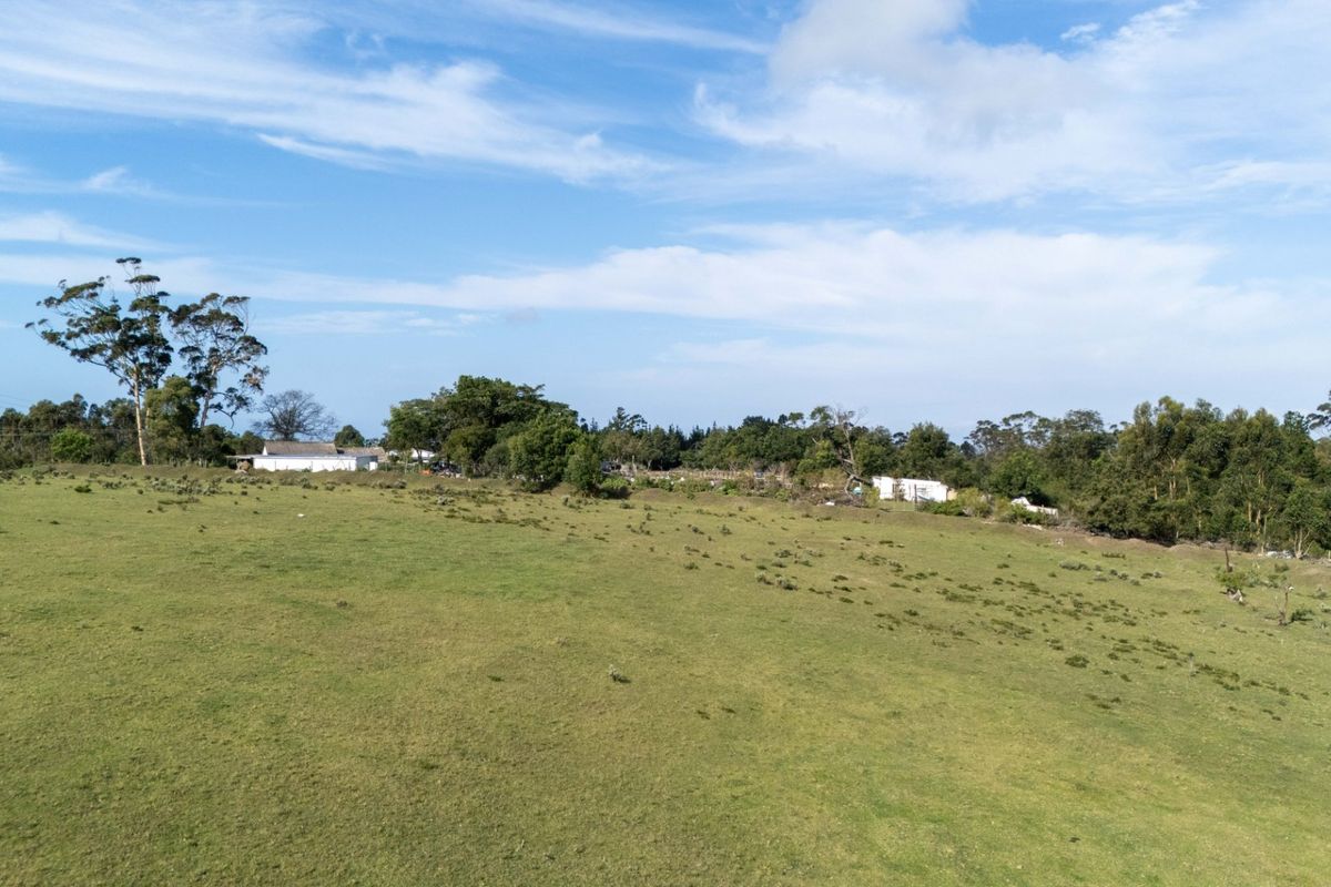 High Density Residential Development Opportunity Plettenberg Bay - Photo 4