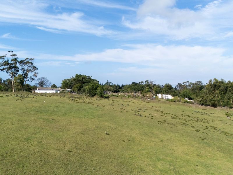 High Density Residential Development Opportunity Plettenberg Bay - Photo 4