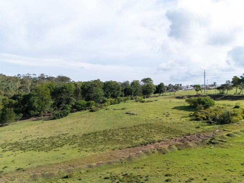 High Density Residential Development Opportunity Plettenberg Bay - Photo 9