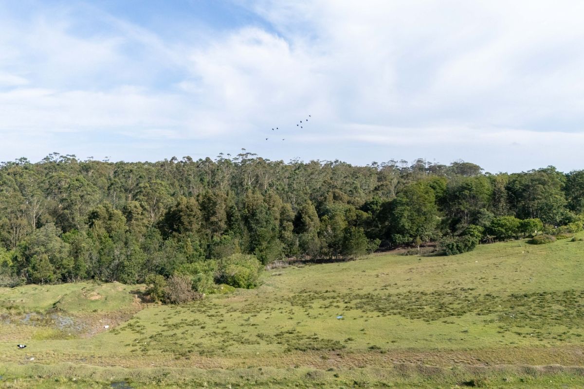 High Density Residential Development Opportunity Plettenberg Bay - Photo 2