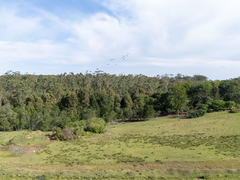 High Density Residential Development Opportunity Plettenberg Bay - Photo 2