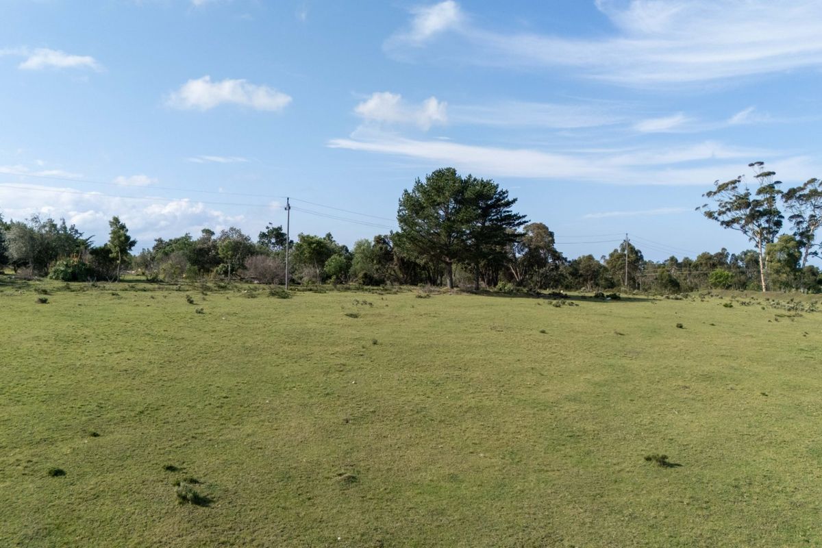 High Density Residential Development Opportunity Plettenberg Bay - Photo 5