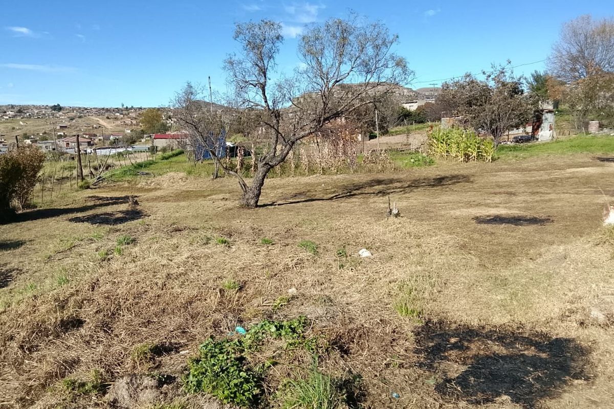 3 Bedroom Family Home for Sale on a Large Stand - Photo 4