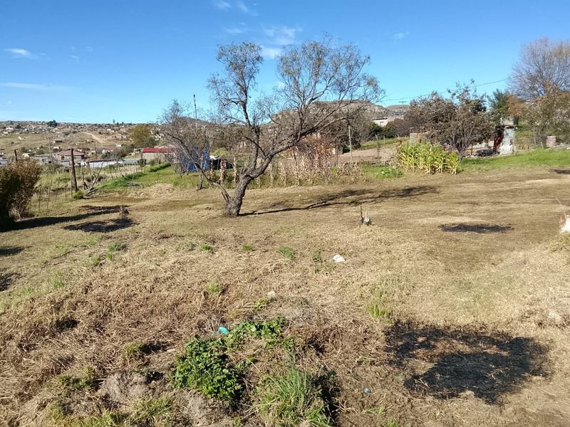 3 Bedroom Family Home for Sale on a Large Stand - Photo 4