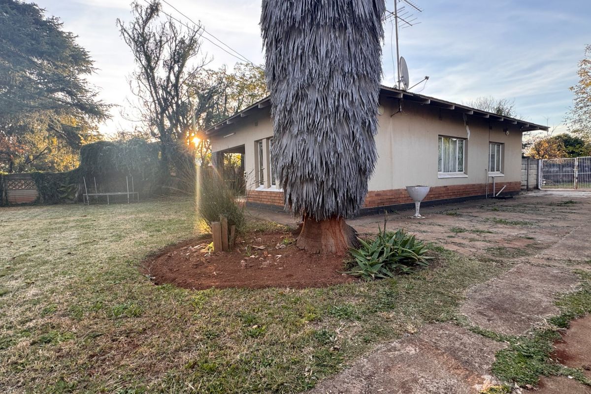 This could be what you need with great potential in Three Rivers - Photo 2
