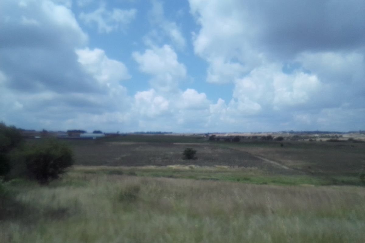 TWENTY HECTARES VACANT LAND FOR RENTAL - Photo 2