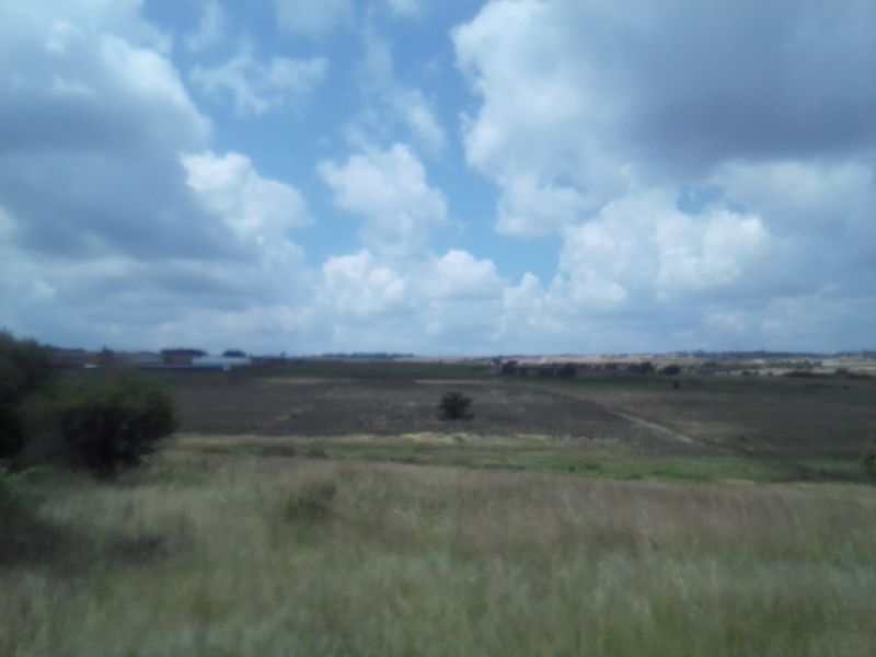 TWENTY HECTARES VACANT LAND FOR RENTAL - Photo 2