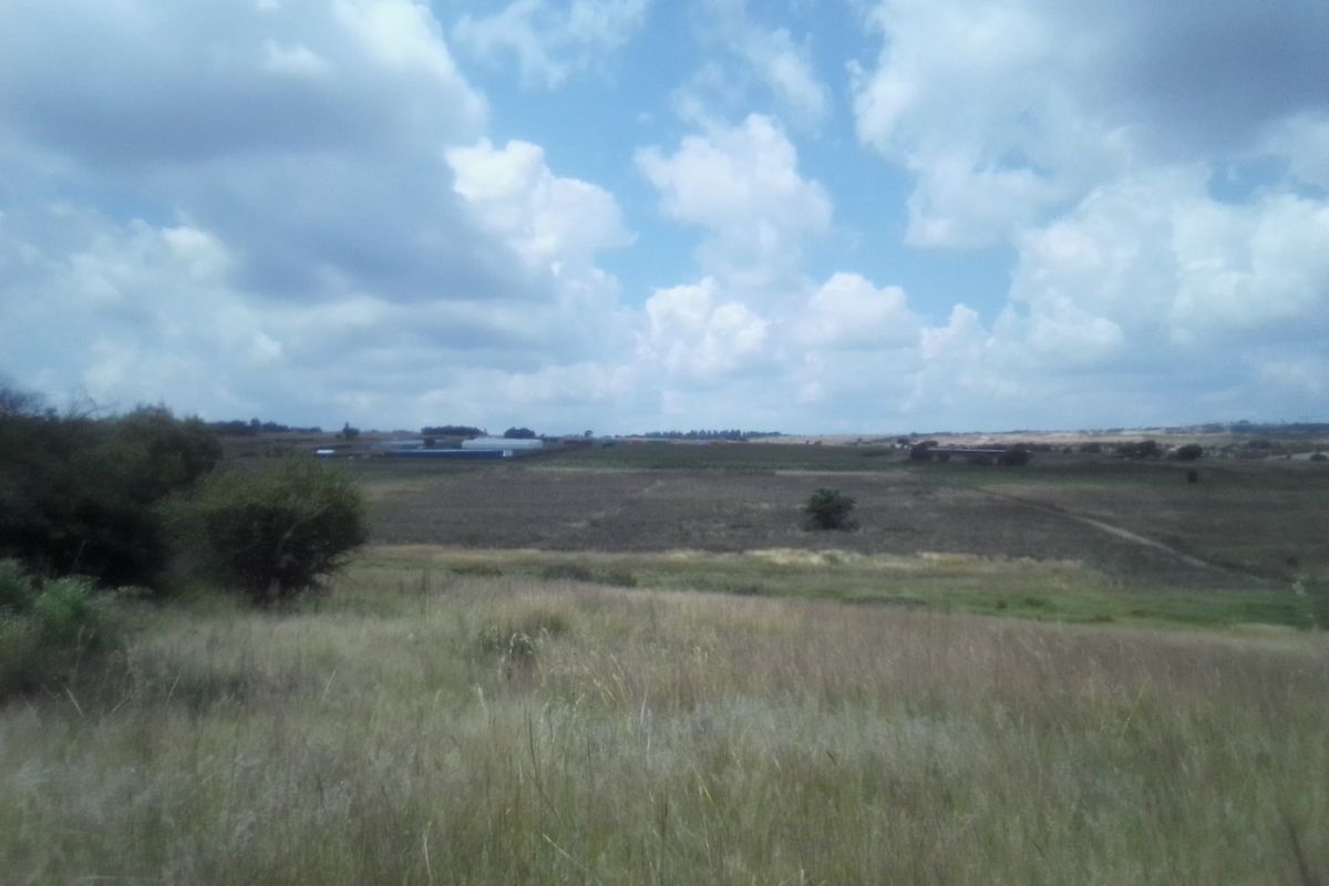 TWENTY HECTARES VACANT LAND FOR RENTAL - Photo 3