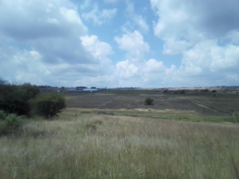 TWENTY HECTARES VACANT LAND FOR RENTAL - Photo 3