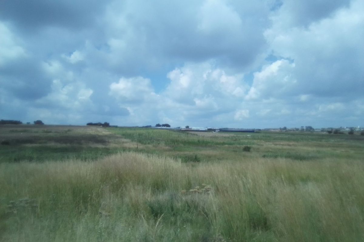 12 HECTARES AGRICULTURE FARMING LAND FOR RENTAL - Photo 2