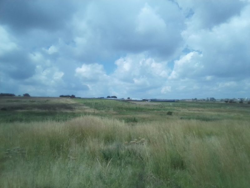 12 HECTARES AGRICULTURE FARMING LAND FOR RENTAL - Photo 2