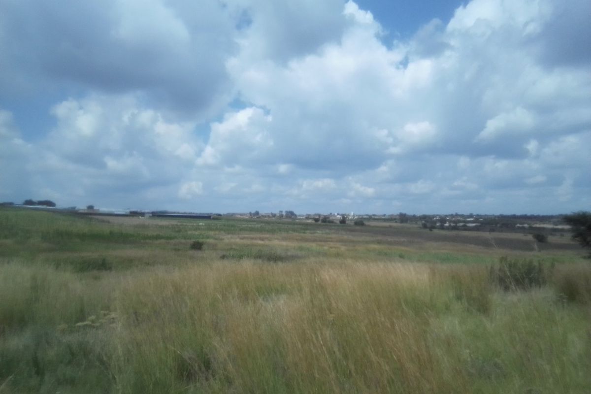 12 HECTARES AGRICULTURE FARMING LAND FOR RENTAL - Photo 4